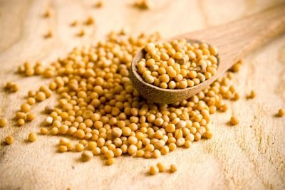 Mostaza Grano