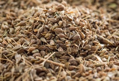 Anís en grano