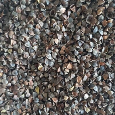 CASCARA DE TRIGO SARRACENO X 10KG - Image 2